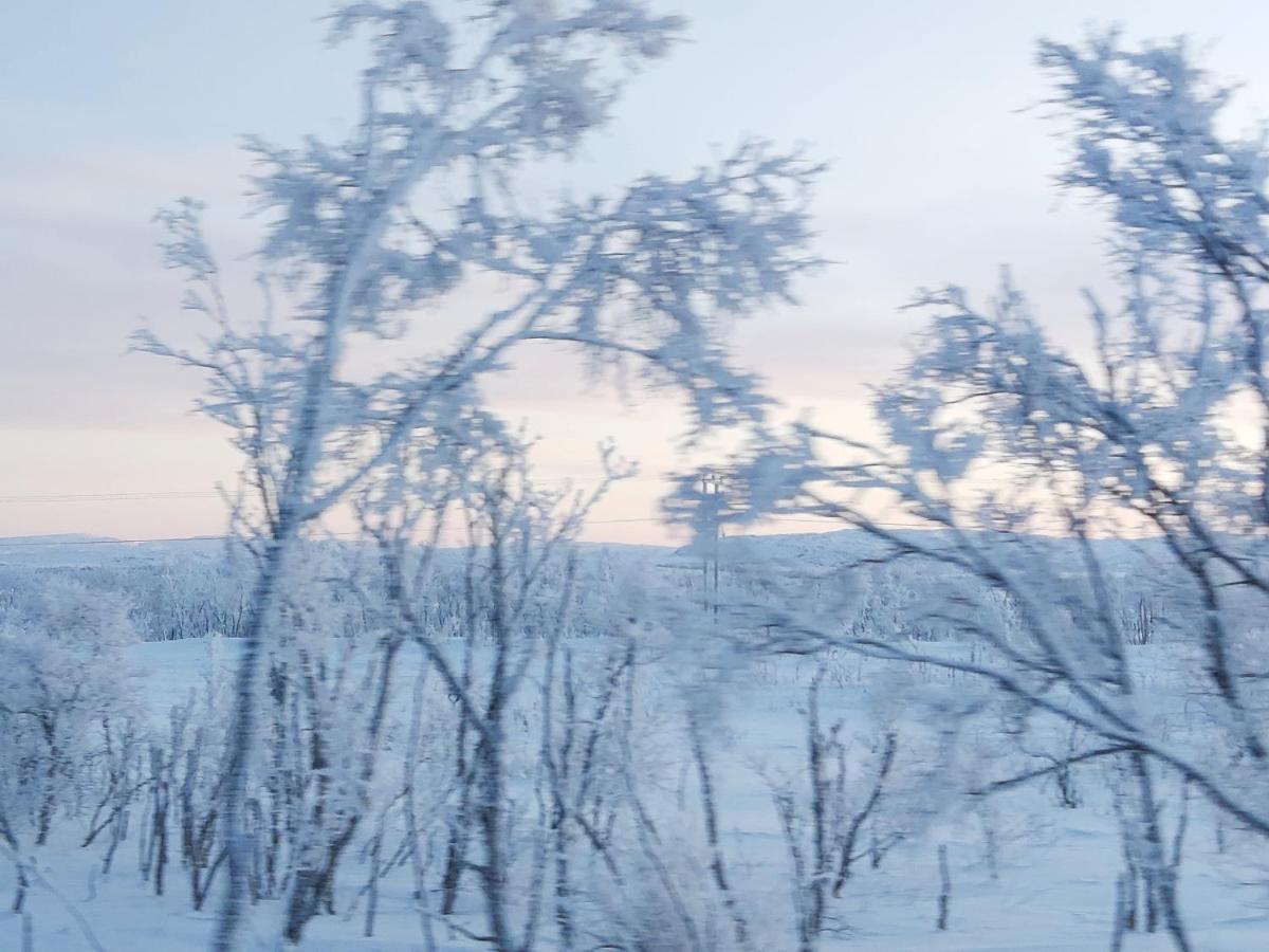 Varangertunet Bed & Breakfast Jakobselv 외부 사진